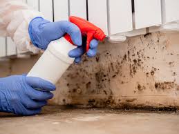 Best Industrial Mold Remediation  in USA